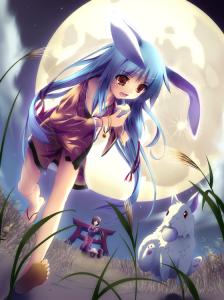 Animaux